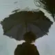 fing131的头像-投影工坊