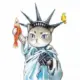 laa7908的头像-天机阁