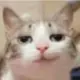 tk