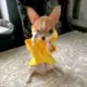 VIP影视