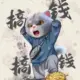 lyl9293的头像-天机阁