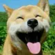 神话哥哥
