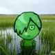 She