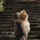 橡皮泥