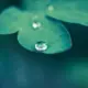 安德森
