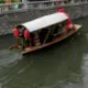 燕窝