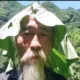 yU11o的头像-投影工坊