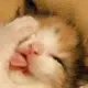 匿名766