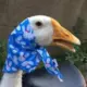 动力火柴