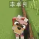 yingyechen的头像-投影工坊