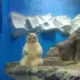 潇洒猴的头像-天机阁