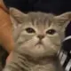 关于