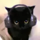 bimble