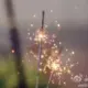 weiyuming