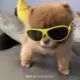 hjfg