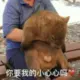 白添霸霸