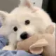 覃小姐