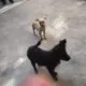 呵呵呵