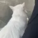 吴笑天
