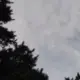 axxghost