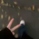 属狗的猫