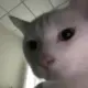seaaa