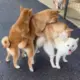 。。。