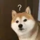 熙枫枫少