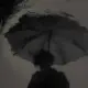 hidasola
