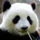 溯光