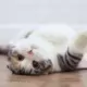，