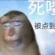 choo的头像-投影工坊