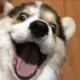 wjzkiejnm