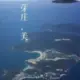 小猪无敌