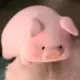 空心菜