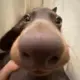 旭xuxu的头像-投影工坊