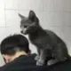 慕尘灬