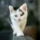 若九天