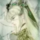 ming111