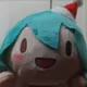 HXSWddd