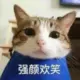 candycandy的头像-投影工坊