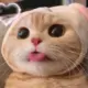 黄远清