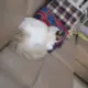 wrwrwr