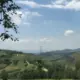 Tt_220412