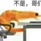 qpwo的头像-投影工坊