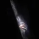 2536267474