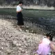 小黑子