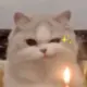 折骨成诗