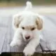 明天会更好