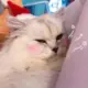 huiyuixing的头像-天机阁